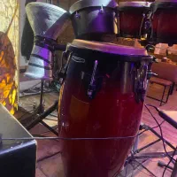 کونگا ماینل اصل سایز ۱۲|درام و پرکاشن|بابلسر, |دیوار