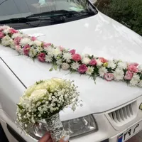 گلکده رزلند|گل و گیاه طبیعی|قائم‌شهر, |دیوار