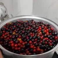 رب آلوچه محلی ارگانیک و تمیز خانگی