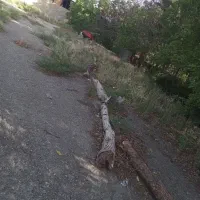 فروش زمین تجاری -صنعتی|فروش زمین و ملک کلنگی|چهاردانگه (تهران), |دیوار