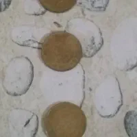 سکه کلکسیونی|کلکسیون سکه، تمبر، اسکناس|تهران, افسریه شمالی|دیوار