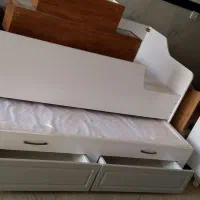 تخت میزبان شاهینی