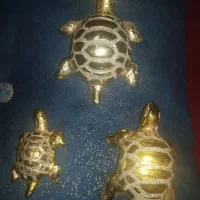 مجسمه چینی|مجسمه، تندیس، ماکت|کرمان, |دیوار