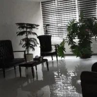 منشی همکاری و صندوقدار خانم نیازمندیم سالن زیبایی