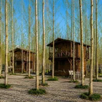 لوکس زندگی کن /هوشمندانه سرمایه گذاری کن