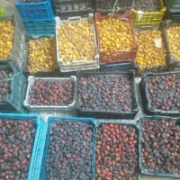 رتب خنیزی و برحی