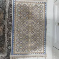 تعدادی پادری سالم و شیک|پادری|زاهدان, |دیوار