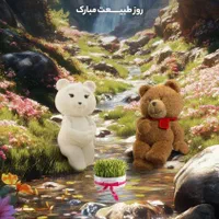 پکیج ایران رادیاتور مدل L24|آبگرمکن، پکیج، شوفاژ|دورود, |دیوار