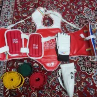 هوگو تکواندو