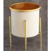 گلدون‌پایه‌‌دارطلایی‌|گل و گیاه طبیعی|خوی, |دیوار