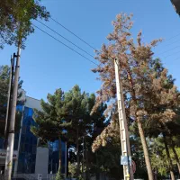 راهنمایی میخوام