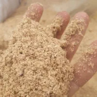 خاک اره صنوبر