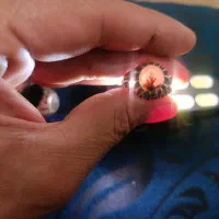 انگشتر شجر|جواهرات|نسیم‌شهر, |دیوار