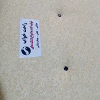 خوشخواب سالم و بسیار تمیز در حد نو