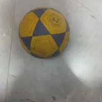 توپ تنبل سالن