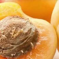 فروش پوسته ی هسته ی هلو