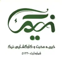 ویزیتور (راننده)