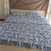 تخت دو نفره،جک دار