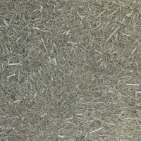 خارشترآماده تحویل جوین|لوازم جانبی حیوانات|عطاملک, |دیوار