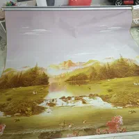 پرده زبرا