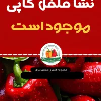 نشا فلفل کاپی موجود است