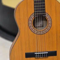 گیتار پارسی m3