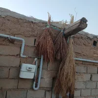 جارو|عمده‌فروشی|زنجان, |دیوار
