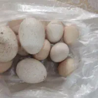 تخم مرغ خونگی(محلی)