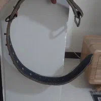 قلاده آمریکایی اصل و نو