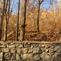 باغ ماشین رو کنار رودخانه روستای مورود|فروش زمین و ملک کلنگی|آسارا, |دیوار