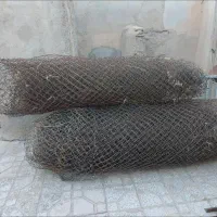 کفترفنس باغی با کفکش