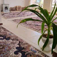 فروش ساختمان دو طبقه نوساز برجویی