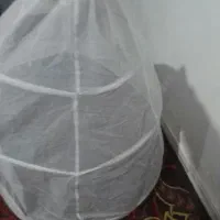 تور و زپون عروس