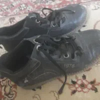 نیم پوت|کیف، کفش، کمربند|رباطکریم, رباطکریم|دیوار