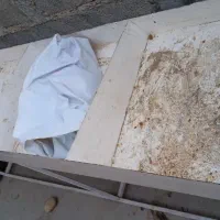 قفسه میوه|فروشگاه و مغازه|کاکی, |دیوار