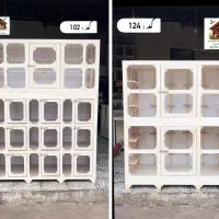 افزایش قیمت جفت کن کبوترکفتر هفته آینده گنجه لاری