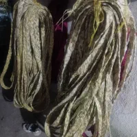 صوبه مناصب رنگ زدن