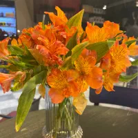 استخدام پیک موتوری