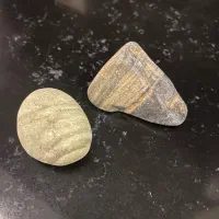 سنگ|کلکسیون اشیاء عتیقه|تهران, اقدسیه|دیوار