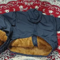 کاپشن و شلوار بادگیر و بارانی خزدار ضدآب و سرما|لباس|مشهد, مصلی (کارمندان اول)|دیوار