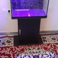 آکواریوم پایه دار بدون وسایل