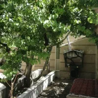 زمین-ویلایی