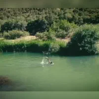 آموزش اصول شنا و اصلاح تکنیک در ۳ تا ۵ جلسه