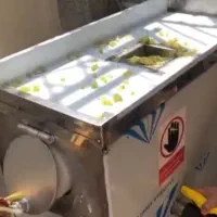 دستگاه پرس انگور