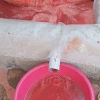 رب خانگی