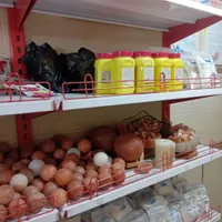 نیازبه بلاگرجهت تولبدمحتوی وادمین وبلاگری