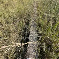 240متر-زمین-دوکله-شهرکی