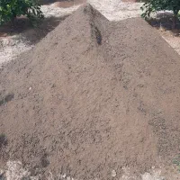 کودگاوی وگوسفندی|خدمات باغبانی و درختکاری|نکا, |دیوار