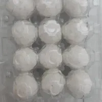 سفیداب(روشیه ) با روغن شتر مرغ