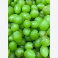 غوره ارگانیک